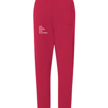 Load image into Gallery viewer, Red - BACK