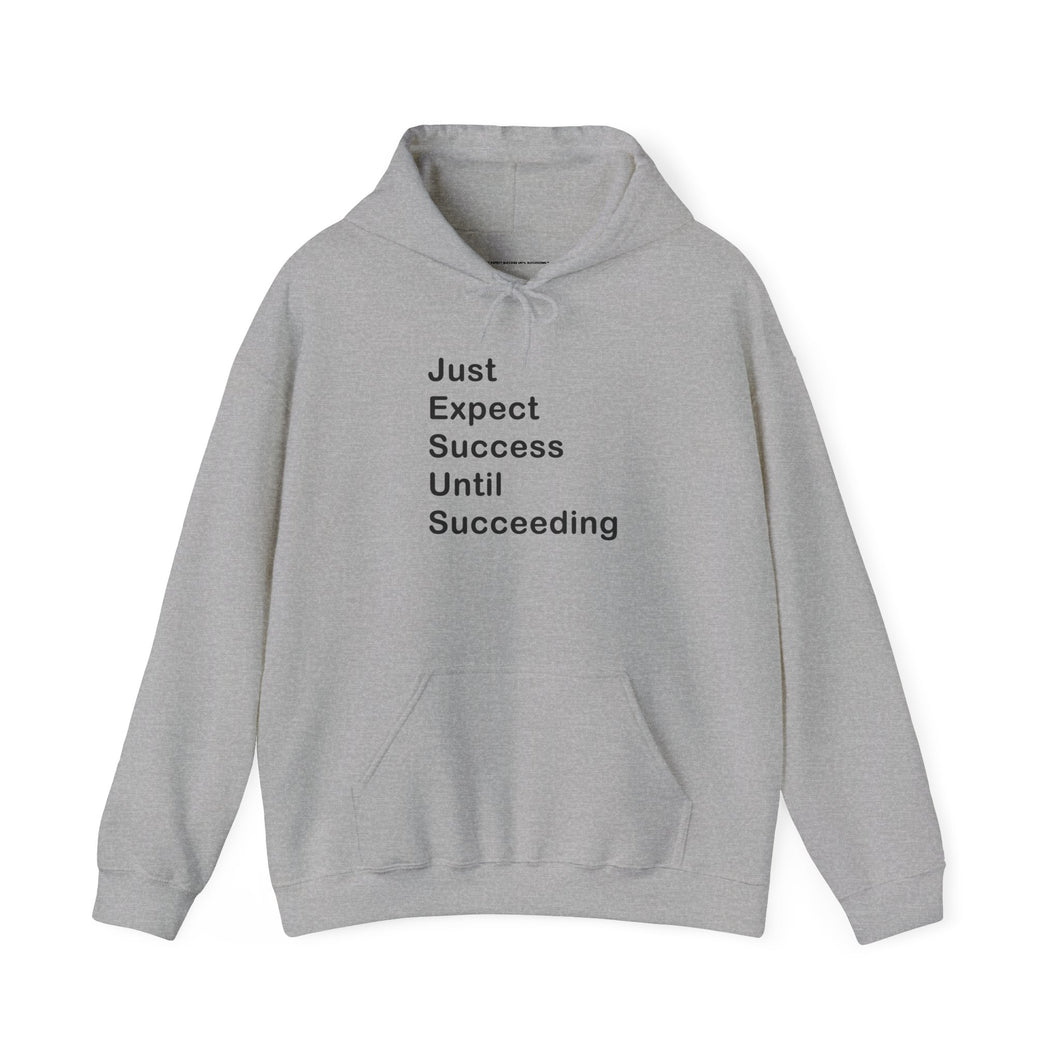 Just Expect Success Until Succeeding- Inspirational Hooded Sweatshirt